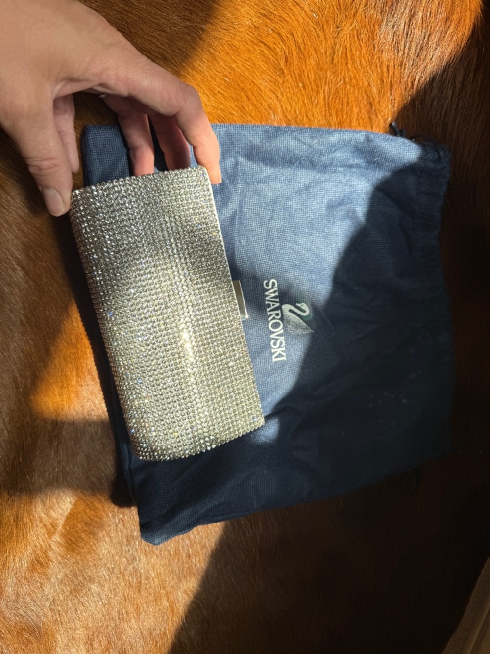 Swarovski Silver Crystal Embellished Evening Minaudière